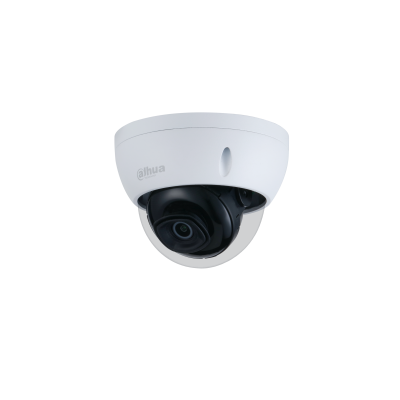 DH-IPC-HDBW2230E-S-S2 2MP IR Mini Dome Network Camera